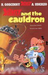 13 - Asterix and the Cauldron