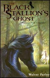 The Black Stallion'S Ghost