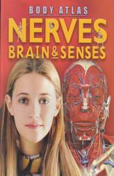 Body Atlas - Nerves Brain & Senses