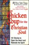 Chicken soup for the Christian Soul